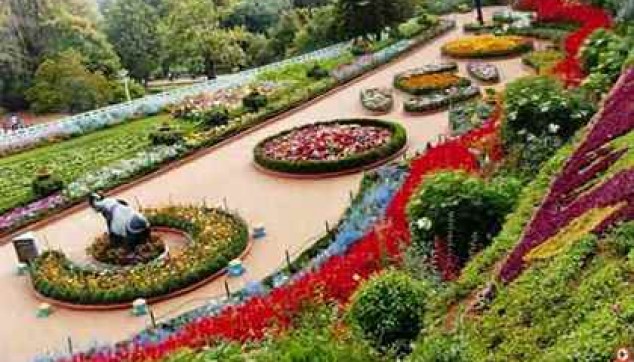 Rose Garden
