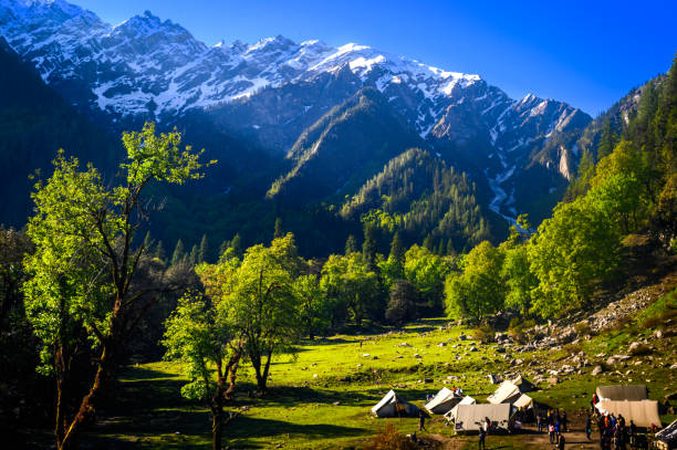Himachal Tour Package 6N/7D Shimla Manali Dharamshala | SVR Tours