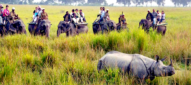 Arunachal & Assam Tour Package 9N/10D | SVR Tours