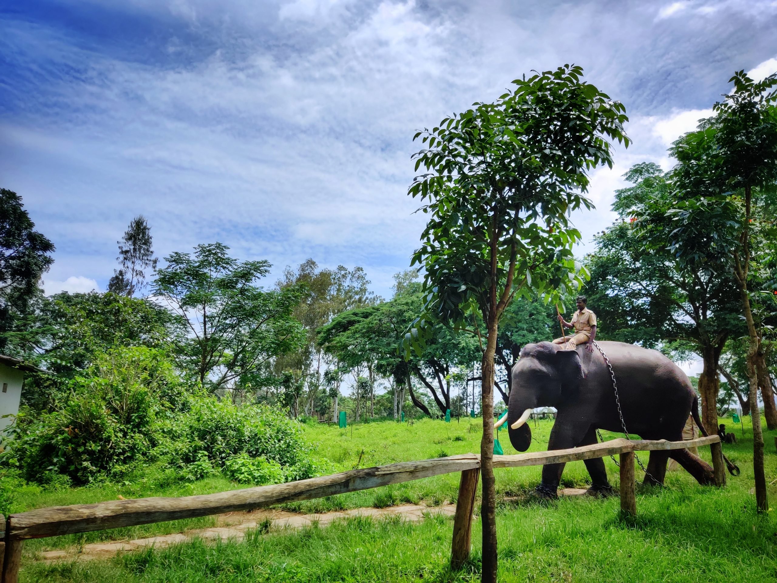 Mysore Coorg Tour Package 3N/4D | SVR Tours