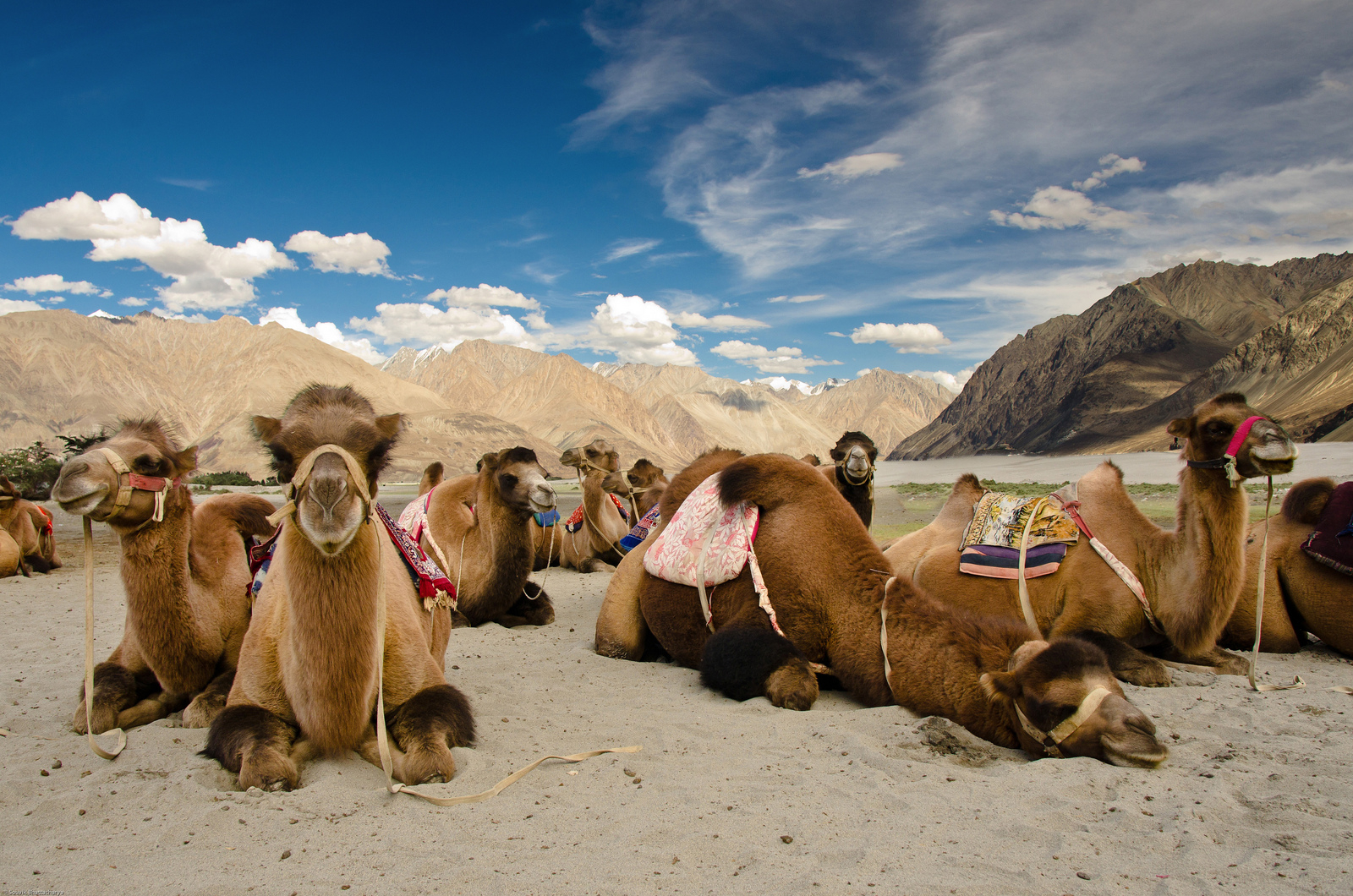 Leh Ladakh Tour Package 5N/6D Adventure | SVR Tours
