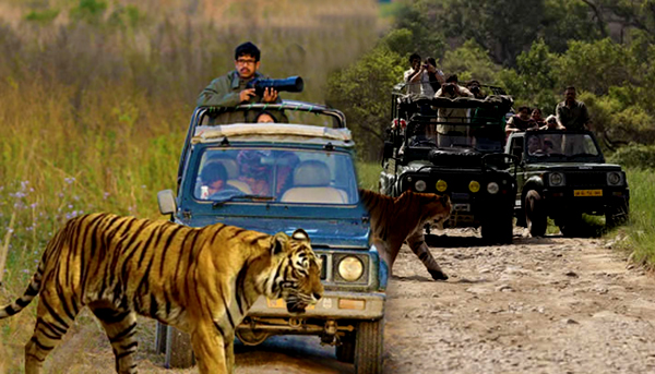 Himachal Tour Package 7N/8D Manali Kullu Dharamshala | SVR Tours