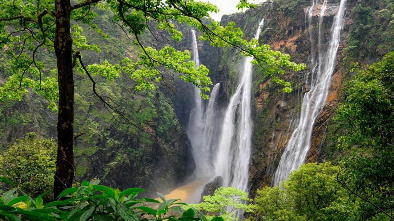 Day 06: Chikmagalur 