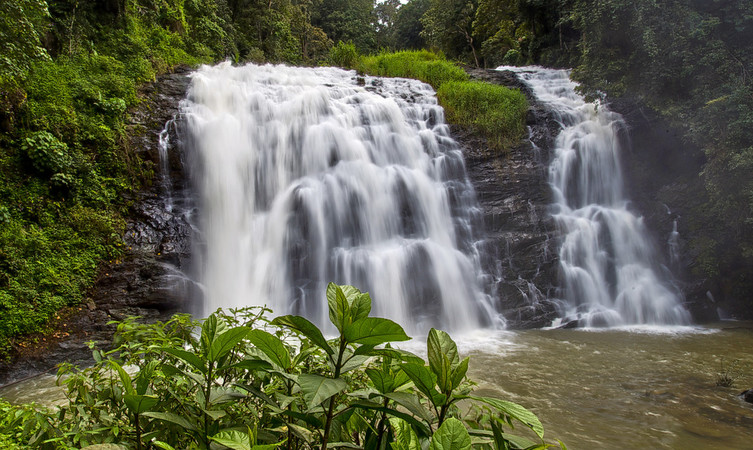 Day 03: Coorg