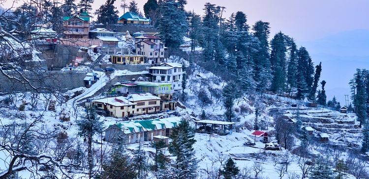 Day 2: Shimla