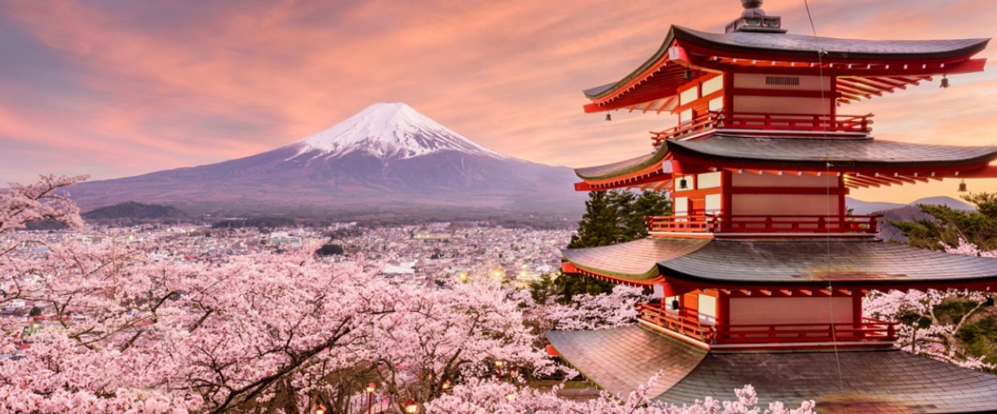 Day 03: Mt. Fuji & Hakone 