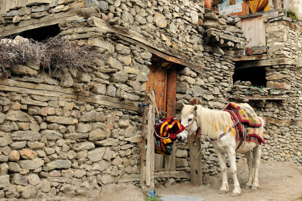 Day 09: Jomsom - Fly Back to Pokhara (~10 km / 20 mins)