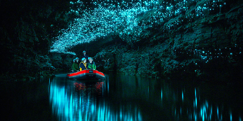 Day 02 AUCKLAND- WAITOMO -ROTORUA