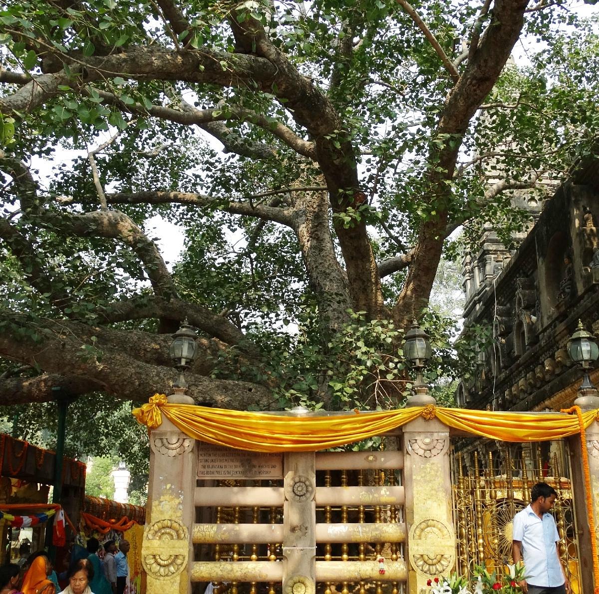 Day 08: Gaya - Bodh Gaya - Patna (~115 km / 4-5 hrs )