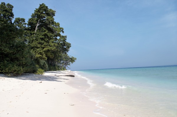 Day 05: Neil Island - Port Blair (~37 km / 1.5 hrs )