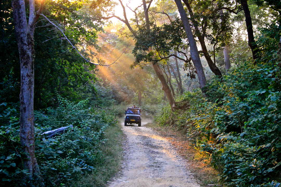 Day 1 : Delhi - Corbett  (270 kms / 6-7 hrs)