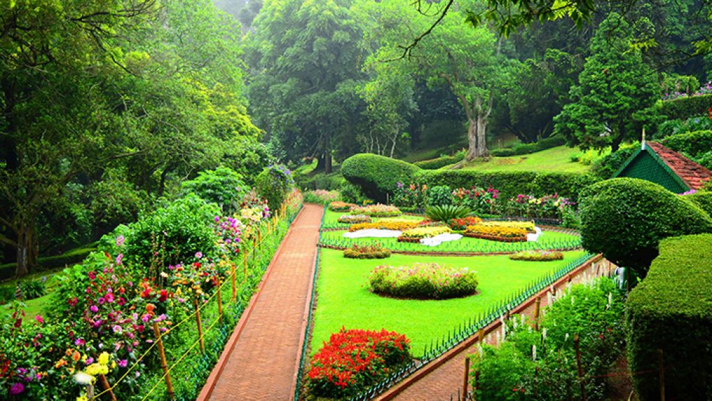 Day 05: Ooty