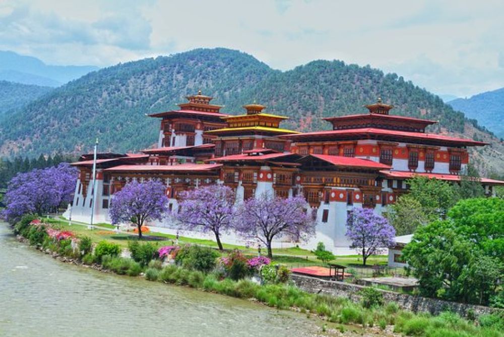 Day 03 :Thimpu - Punakha