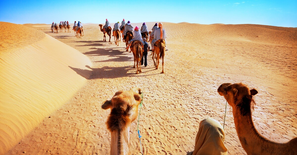 Day 05: Bikaner - Jaisalmer (≈ 340 km / 5-6 hrs)