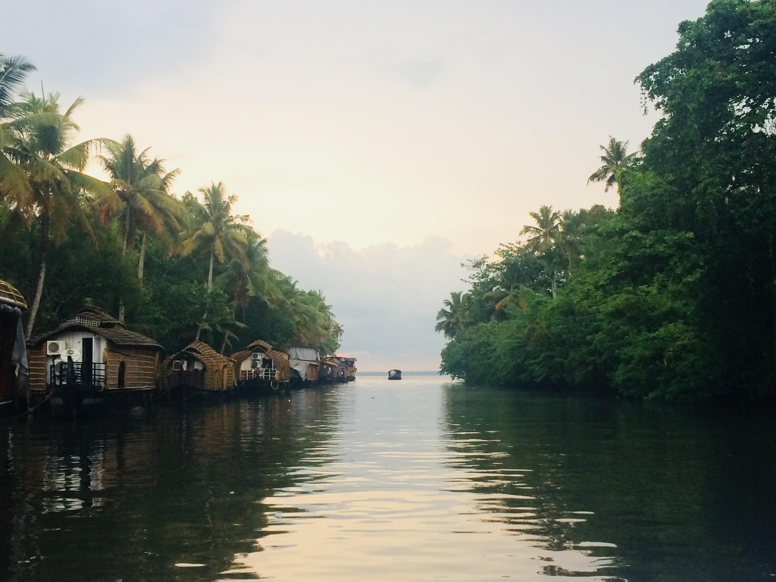 Day 04: Thekkady → Kumarakom (Approx. 130 km / 4-5 hrs)