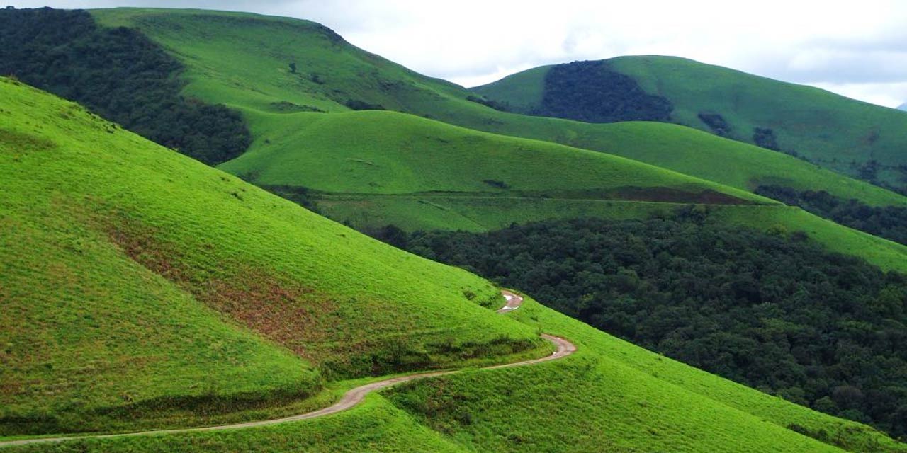 Day 6: Chikmagalur - Departure via Arsikere