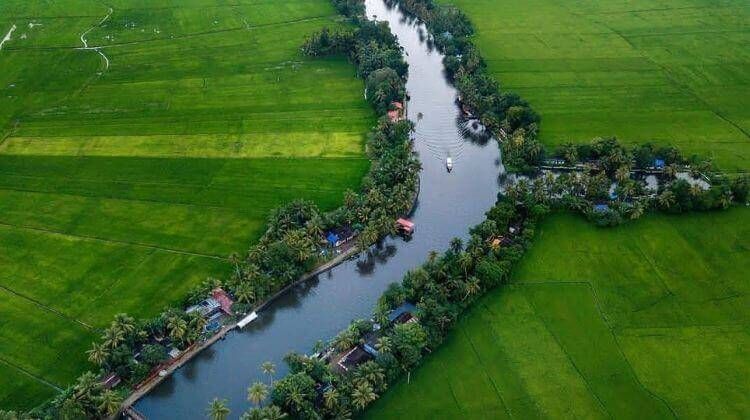 Day 05: Kumarakom - Leisure/Backwaters (Approx. local travel: 10-15 km)