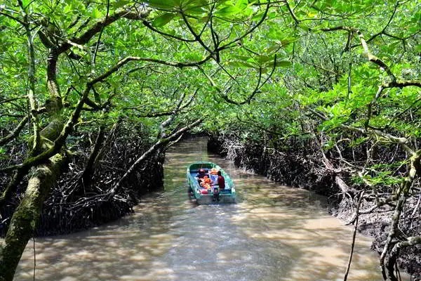 Day 06: Port Blair - Baratang Island - Port Blair (~100 km / 3-4 hrs one way)