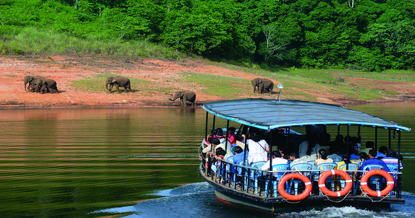 Day 03 : Munnar - Thekkady (Approx. 120 kms / 4-5 hrs)