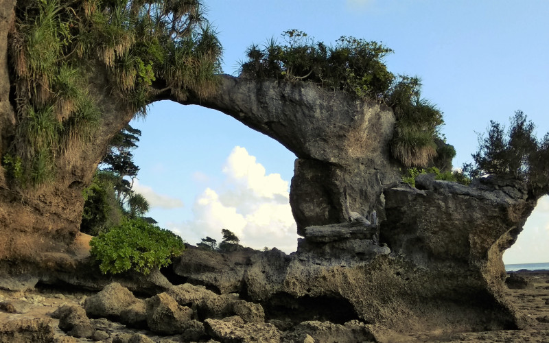 Day 05: Havelock Island - Neil Island (~20 km / 45 mins)