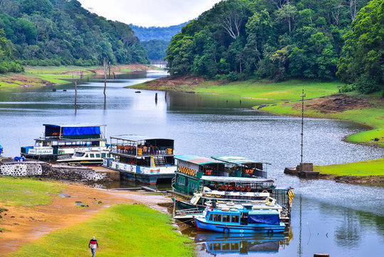 Day 04: Munnar → Thekkady (Approx. 120 km / 4-5 hrs)